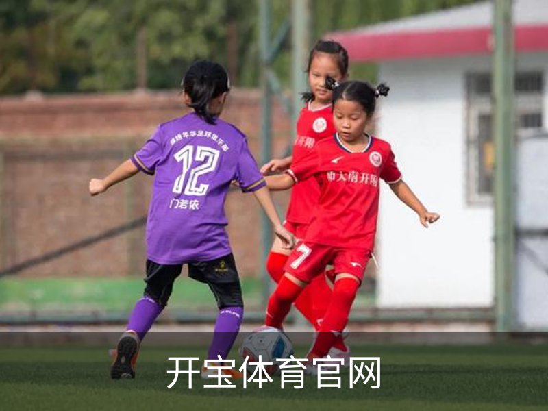 开宝体育官网概况